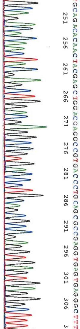 C serotypes ( 100) alleles (>7800) HLA class II HLA class I DP DQ DR B C