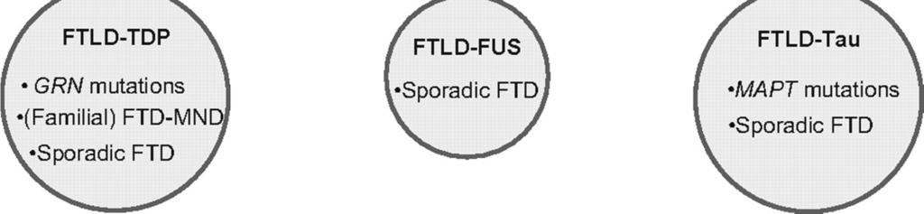 FTLD-U with MND (FTLD-U types 1 3) FTLD-U but without MND (FTLD-U types 1 3) FTLD-U with GRN mutation (FTLD-U type 3) FTLD-U with VCP mutation (FTLD-U type 4) FTLD-U linked to chromosome 9p (FTLD-U
