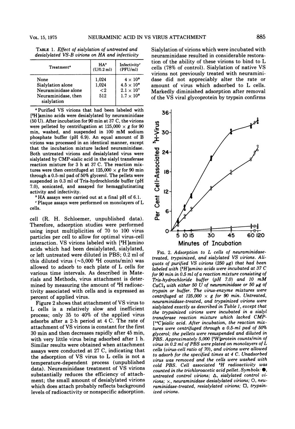 VOL. 15, 1975 TABLE 1. Effect of sialylation of untreated and desialylated VS-B virions on HA and infectivity NEURAMINIC ACID IN VS VIRUS ATTACHMENT Infectivityc Treatmenta HA, (UIO.