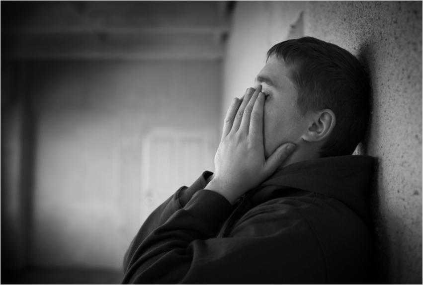 Risk Factors Health Factors Mental Health Conditions Depression Bipolar Disorder Schizophrenia