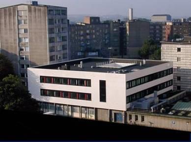 Overview IHC project coordinator at Institute of Pathology, Aalborg, Denmark &