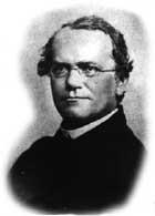 Gregor Mendel Austrian Monk, born 1822 Worked with pea plants to learn how