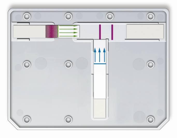 Multiplex Products Conjugate Pad DPP Sample MULTIPLEX DPP HIV Confirmatory Test