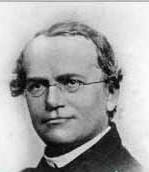 Gregor Mendel What is Genetics?
