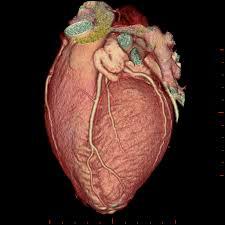 cardiologists 12 15 MMA CPD