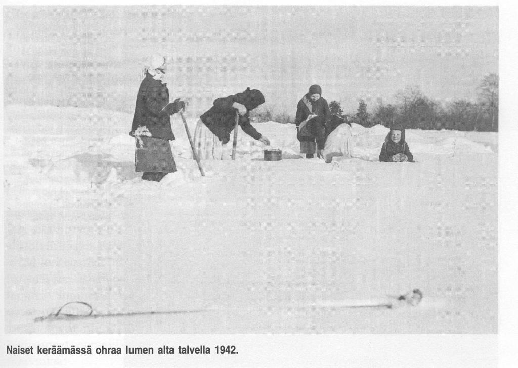 Women harvesting barley under the snow in East Karelia during World War II in 1942 (Rosen, 1998) Information regarding the effects of T2 mycotoxin on people has been collected from many accidents