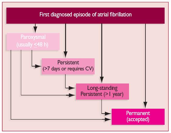 Atrial Fibrillation Guidelines for the management of atrial fibrillation The Task Force
