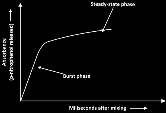 place in two stages, an initial burst phase at the beginning of the reaction which then levels off to