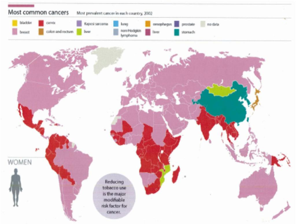 Worldwide prevalence of cervical cancer Cervical cancer is the second most common cancer affecting women worldwide and