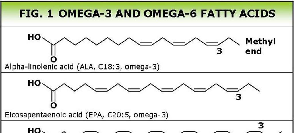 권장섭취 : Omega 6 FA:3 FA=1:1~4:1 >>> 에스키모인,