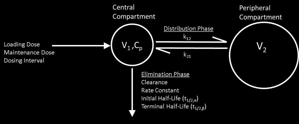 Model 5: Intermittent Dosing with Distribution Phase (two-compartment) Here, intermittent dosing is combined with a distribution phase. Absorption is considered to be instantaneous.