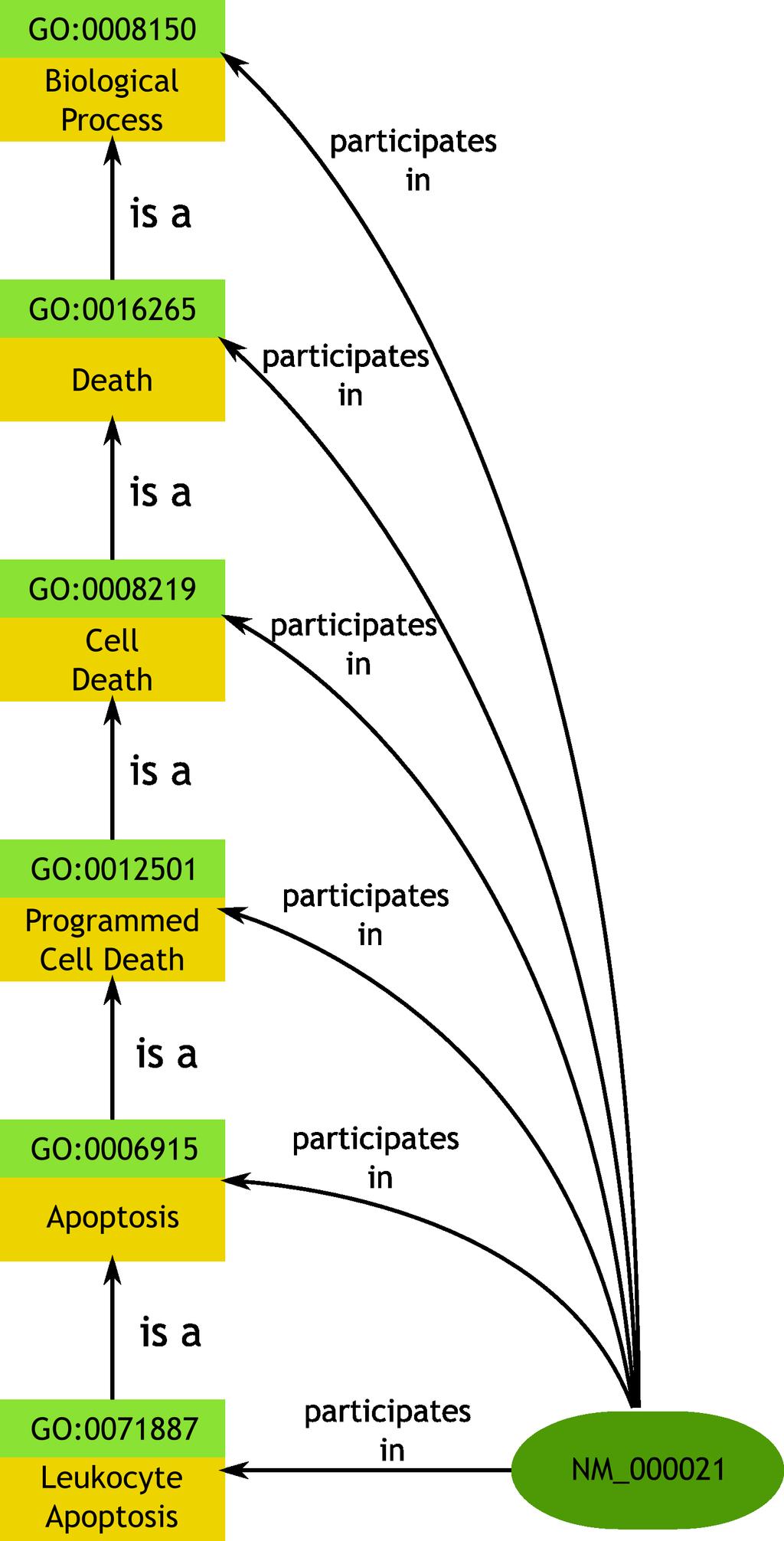 Reasoning on GO Use SKOS representation of GO Declare genes to be