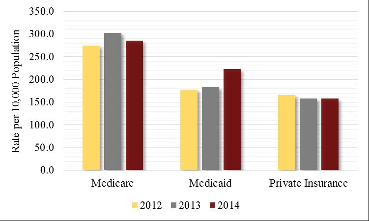 Discharges by Primary Payer Type Figure 15.