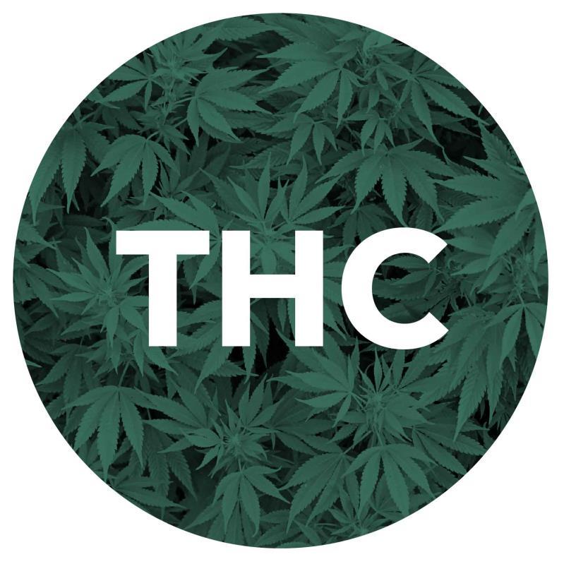 Commercialization of Cannabis Increases THC Content Marijuana enforcement levels, medical marijuana, decriminalization, presence of dispensaries, legalization and larger market supply/demand all have