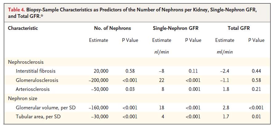 SNGFR in Healthy Adults Higher SNGFR independently associated with: - Nephrosclerosis (exceeding that
