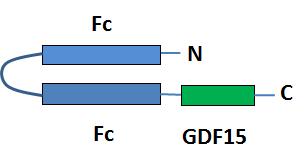 Supplementary Figure 1 Supplementary Figure
