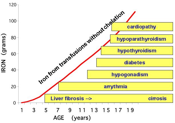 AGE OF APPEARANCE OF ENDOCRINE COMPLICATIONS IN THALASSEMIA More than half of patients with TM, even in paediatric cohorts, have at least 1 endocrinopathy.