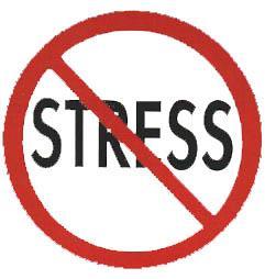 Stress can be due to a major event, daily activities,