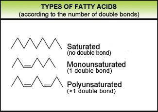 same, or on the opposite side of the molecule. Most naturally occurring unsaturated fatty acids are found in cis form.