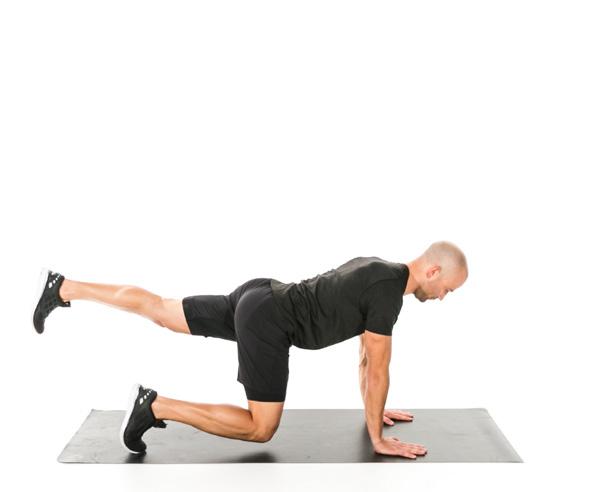 Exertion BEAR CRAWL HEEL PUSH 1 MIN Start in a table top position, with your knees beneath your hips and your hands beneath your shoulders.