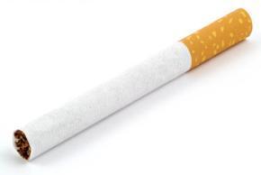 Key features cigarette sticks Cigarette sticks will be limited to either plain white, or plain white with an imitation cork filter tip No branding, other colours or