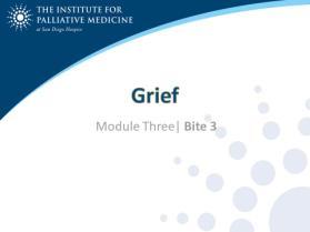 Bite 3: Grief Activity: Read Objectives Grief is a normal reaction to