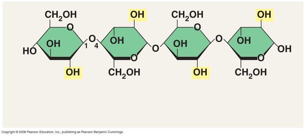 monomers (c) Cellulose: 1