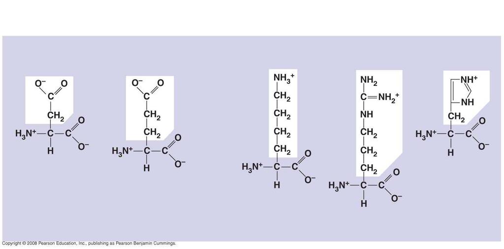 Fig. 5-17c Acidic Electrically charged Basic Aspartic acid (Asp or D)