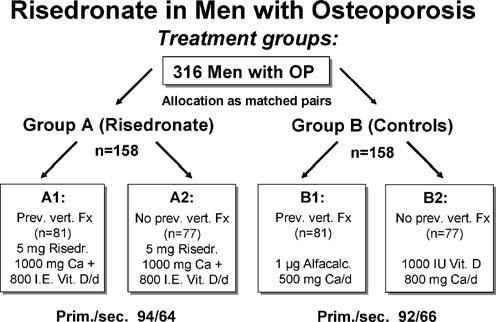 429 Fig. 1 Patient disposition Table 1 Baseline patient characteristics primary and secondary osteoporosis, respectively. All 316 patients were re-examined at month 12.