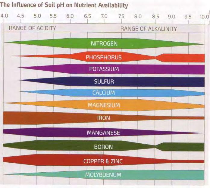 Influence of soil ph