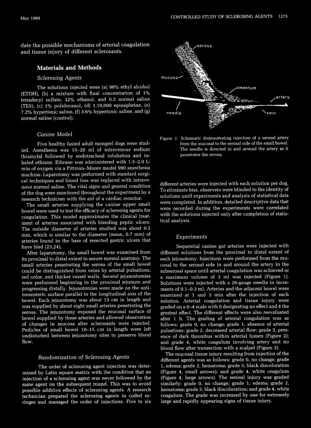 May 1989 CONTROLLED STUDY OF SCLEROSING AGENTS 1275 date the possible mechanisms of arterial coagulation and tissue injury of different sclerosants.