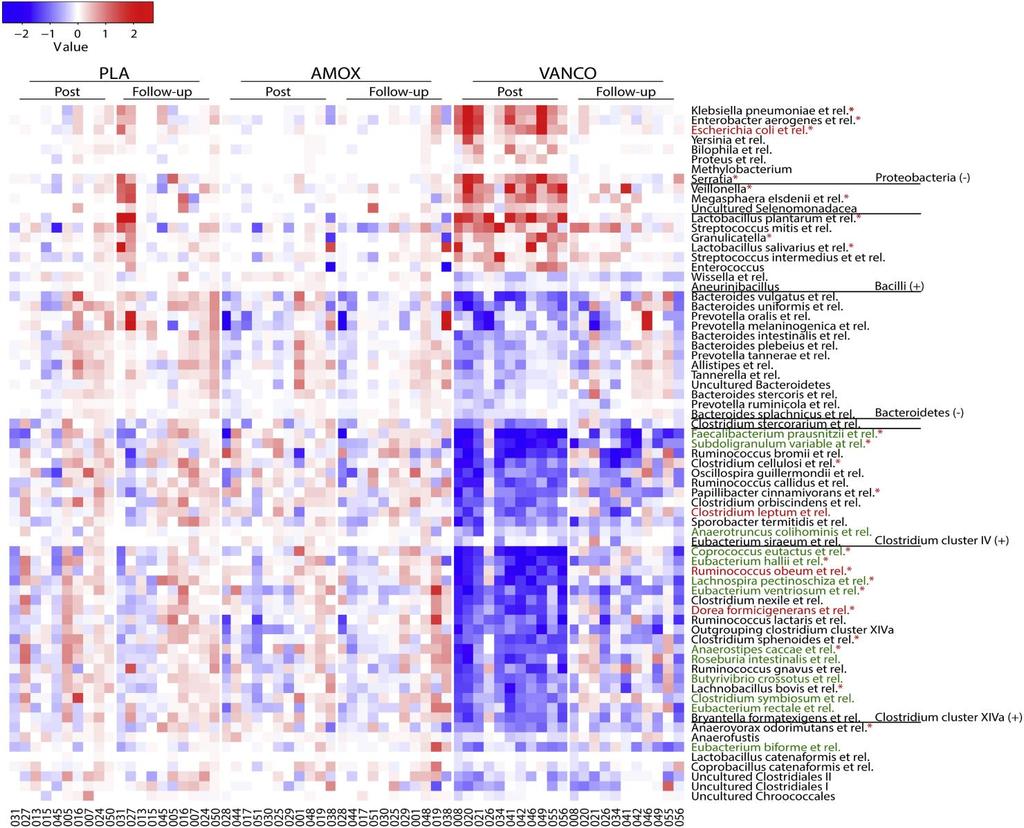 Distinct changes in microbiota composition Microbiota composition Vanco: Increased gram negative Proteobacteria less grampositive bacteria decreased diversity After 8 weeks