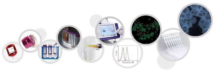Tools For Your Immunology Research From primary human cells to cell isolation kits, culture media, and antibodies, STEMCELL Technologies provides the tools you need for every step of your immunology