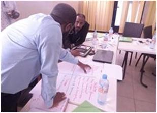 Mauritania for the development and implementation of a Risk- Based Strategic Plan (RBSP) for FMD