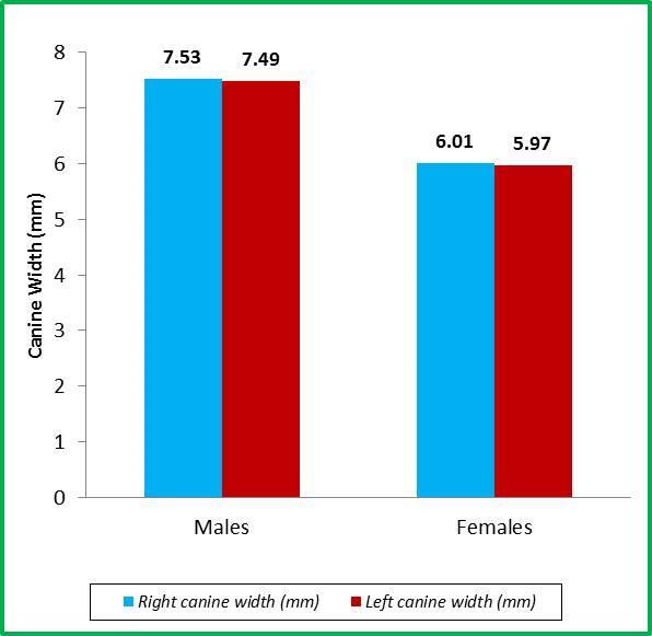 765 for right and left canine respectively in males as shown in Table - 3. Inter canine distance as per gender is shown in Graph 1 and right and left canine width is shown in Graph 2.