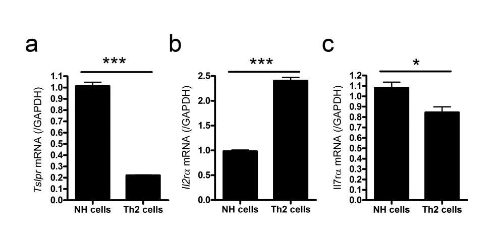 Supplementary Figure S6. TSLPR, IL-2R, and IL-7R expression in NH cells and Th2 cells.