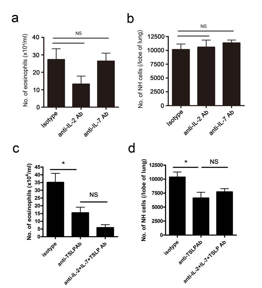 Supplementary Figure S9. Neither anti-il-2 nor anti-il-7 antibody ameliorates corticosteroid resistance in OVA + IL-33 model mice.