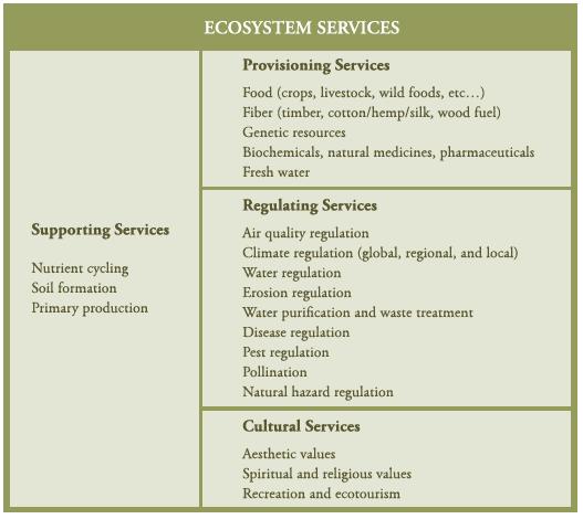 Ecosystem ES.