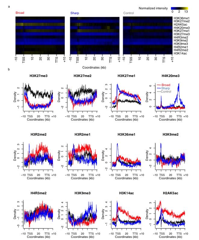 Supplementary Figure 7. Some chromatin marks show weak and complicated enrichment patterns.
