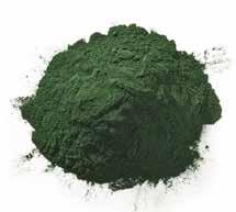 system. SPIRULINA Spirulina is rich in protein, in fact 50-70% of its weight is made up of protein! It is a source of healthy fats including omega 3 fatty acids.