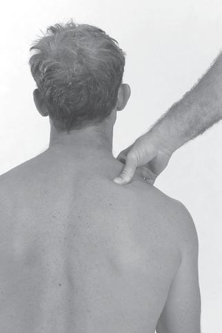 therapy points of the SHOULDER