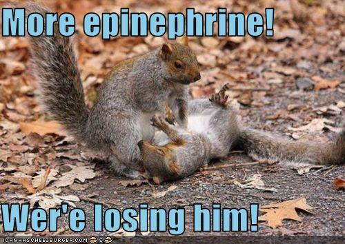 epinephrine has been associated