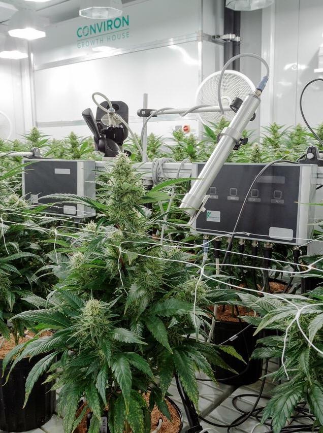 PRECISELY CONTROLLED Every variable is controlled to produce high quality, consistent cannabis product Exclusive Cannabis R&D Partnership with University of Guelph Advanced Technology I
