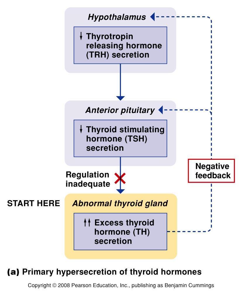 Figure 6.13 Abnormal secretion of thyroid hormones. (a) Primary hypersecretion of thyroid hormones.