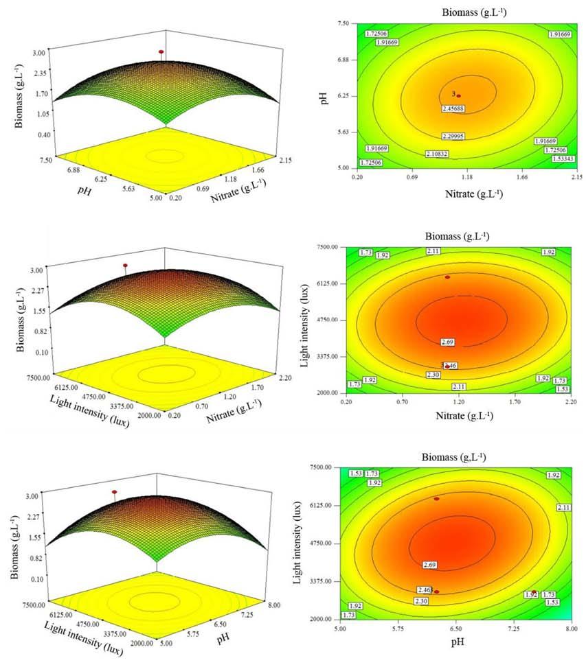 Kasetsart J. (Nat. Sci.) 49(1) 61 (a) (b) (c) Figure 2 Three-dimensional response surface plots and two-dimensional contour plots of biomass production by C.