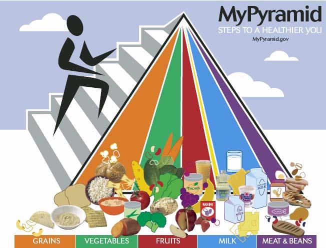 My Pyramid recommends Steps to a Healthier YOU Gives