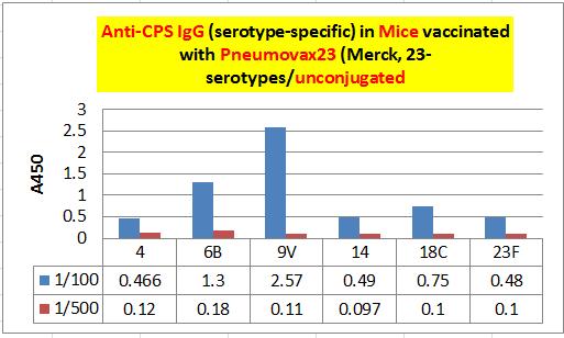 The same dilutions were used for anti-cps23 Ig (1:2500 (6), 1:5000 (7), 1:10,000 (8), and 1:20,000 (9). The adsorption of CWPS/22F IgG and IgM was complete (see the left panels of both graphs).