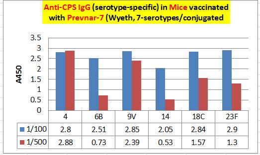 Conclusions: The use of CWPS/22F mix (for coating and adsorption) and CPS-23 mix as antigen is appropriate for testing vaccinated/non vaccinated samples for assessing anti-cps23 IgG and IgM levels.