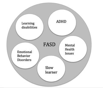 FASD- collect Diagnoses Reactive attachment disorder ADHD Oppositional defiant BiPolar Disorder NOS Cognitive Disorder NOS Depressive Disorder NOS Personality Disorder, Mixed with Borderline