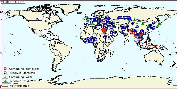 H5N1 avian influenza Since 2003,H5N1 AIVs have